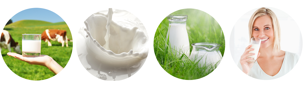 text describing
the image